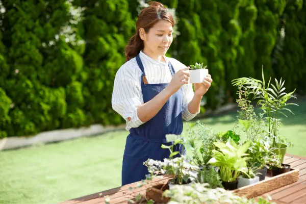 Como cuidar de um mini jardim pode reduzir sua ansiedade em minutos