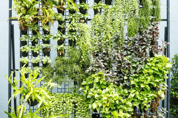 O efeito terapêutico do verde em espaços pequenos: descubra os benefícios