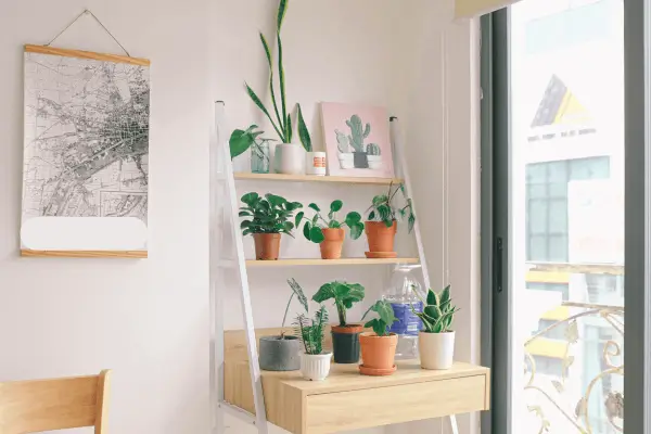 Como montar um jardim vertical que ajuda na concentração no home office