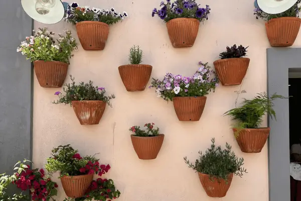 Sons, cheiros e cores: como estimular os sentidos com seu mini jardim