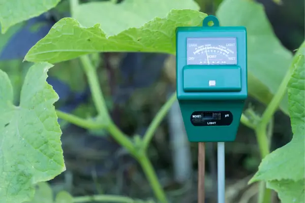 Sensores inteligentes para controlar a umidade em mini jardins