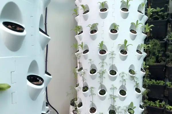 Jardins verticais futuristas: tendências tecnológicas para os próximos anos